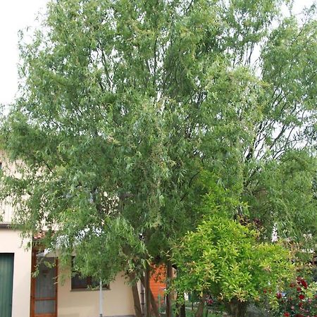 I Salici Di Laura Bed & Breakfast Porto Fuori Exterior photo